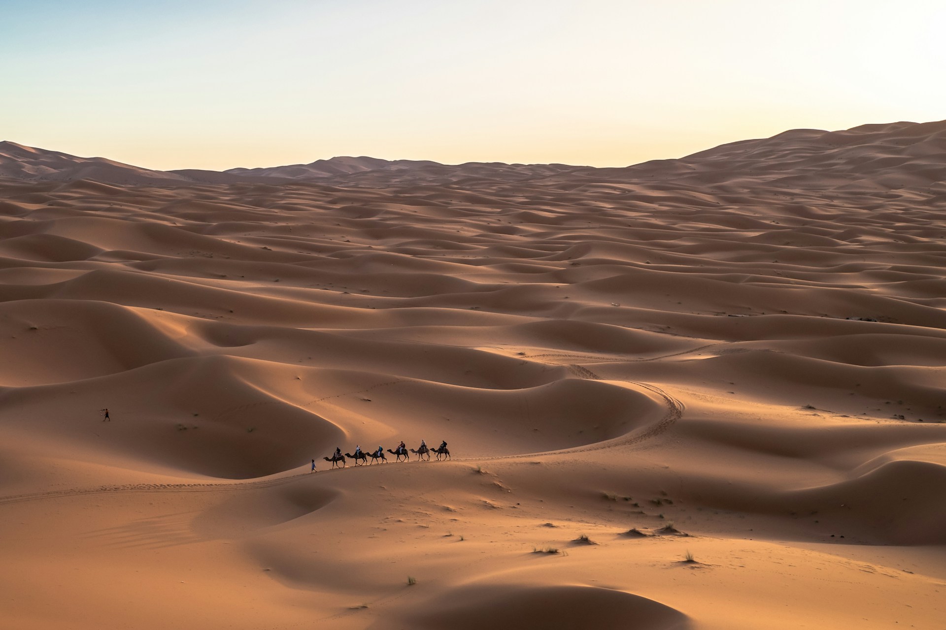 Saudi Arabia — construction machinery